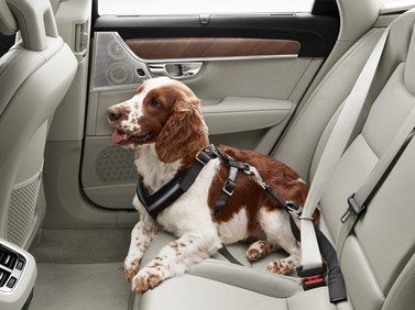 2017 Volvo V90 Cross Country Dog Harness